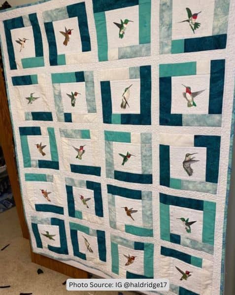 Hummingbird Quilt Idea from haldridge17