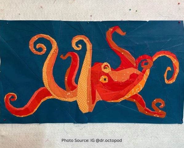 Octopus Quilt Idea from dr.octopod