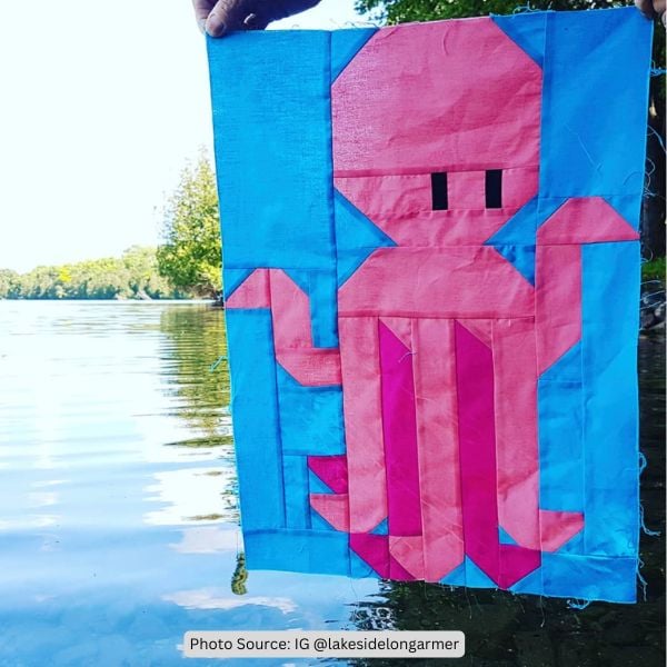 Octopus Quilt Idea from lakesidelongarmer