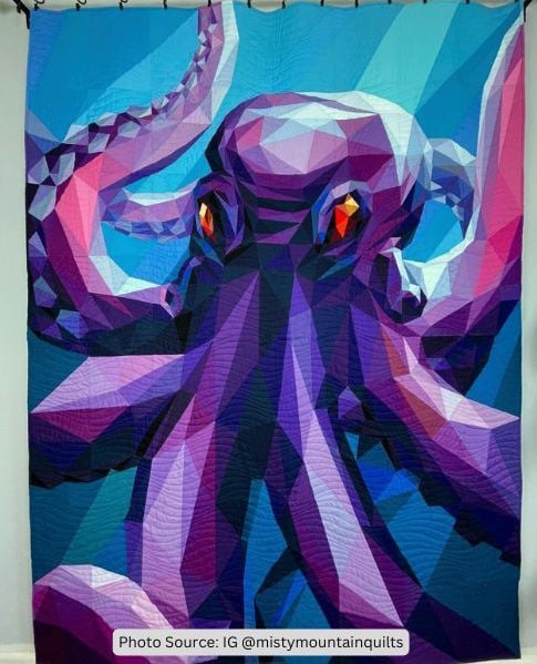 Octopus Quilt Idea from mistymountainquilts