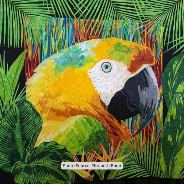 Parrot Quilt Idea from Elizabeth Budd