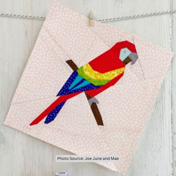 Parrot Quilt Idea from Joe June and Mae