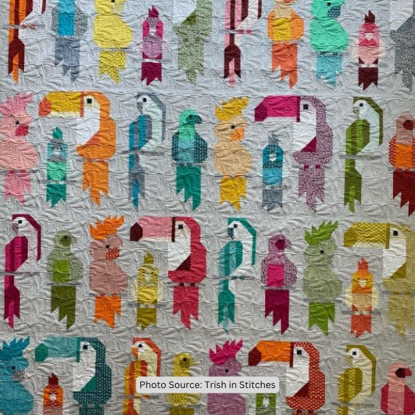 Parrot Quilt Idea from Trish in Stitches