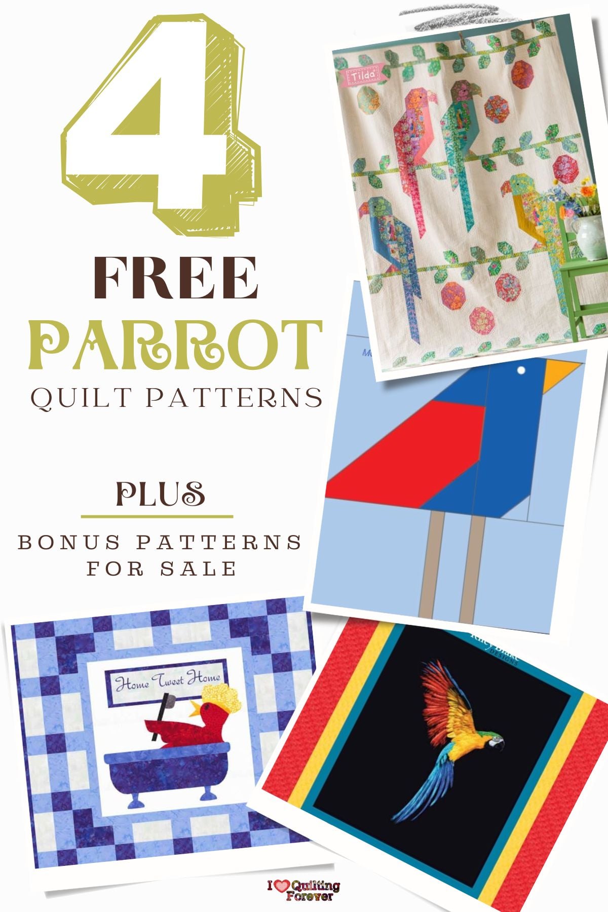 Parrot Quilt Patterns Roundup 1 ILQF Pinterest