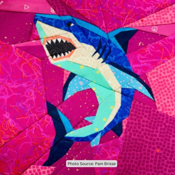 Shark Quilt Idea from Pam Brisse