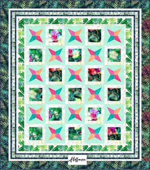 Snapshots Quilt Pattern - Free Quilt Pattern