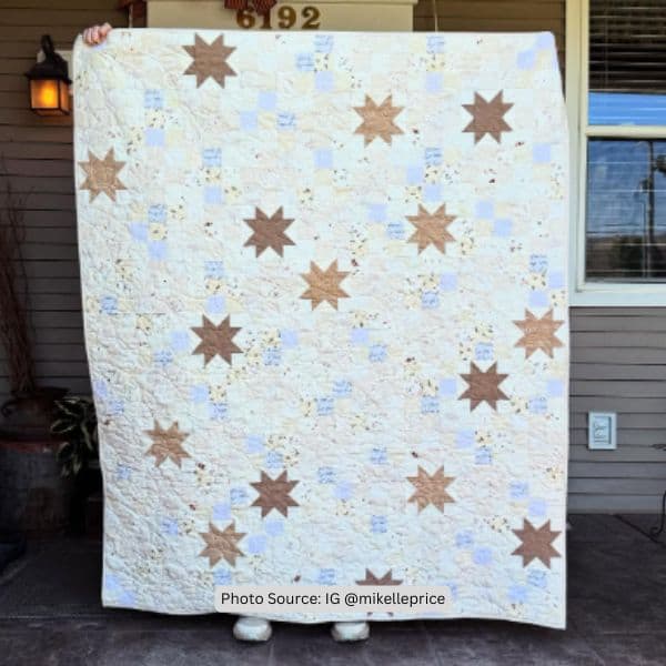 Earth Tone Quilt Idea from mikelleprice